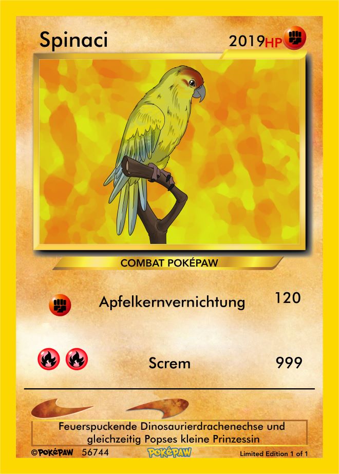Welcome to the world of Bird Pokemon - a unique category of creatures PokePaw Welcome to the world of Bird Pokemon - a unique category of creatures PokePaw