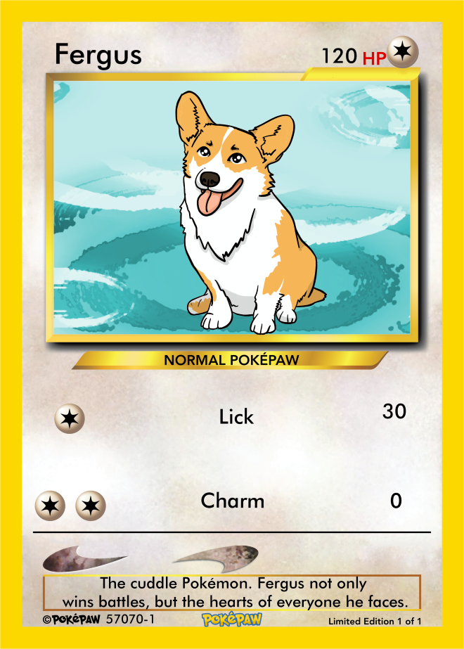 Corgi pokemon shop