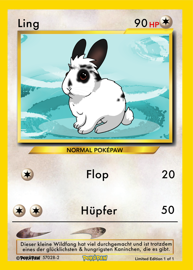 Catch your Rabbit-Pokémon and go on an adventure! – PokePaw