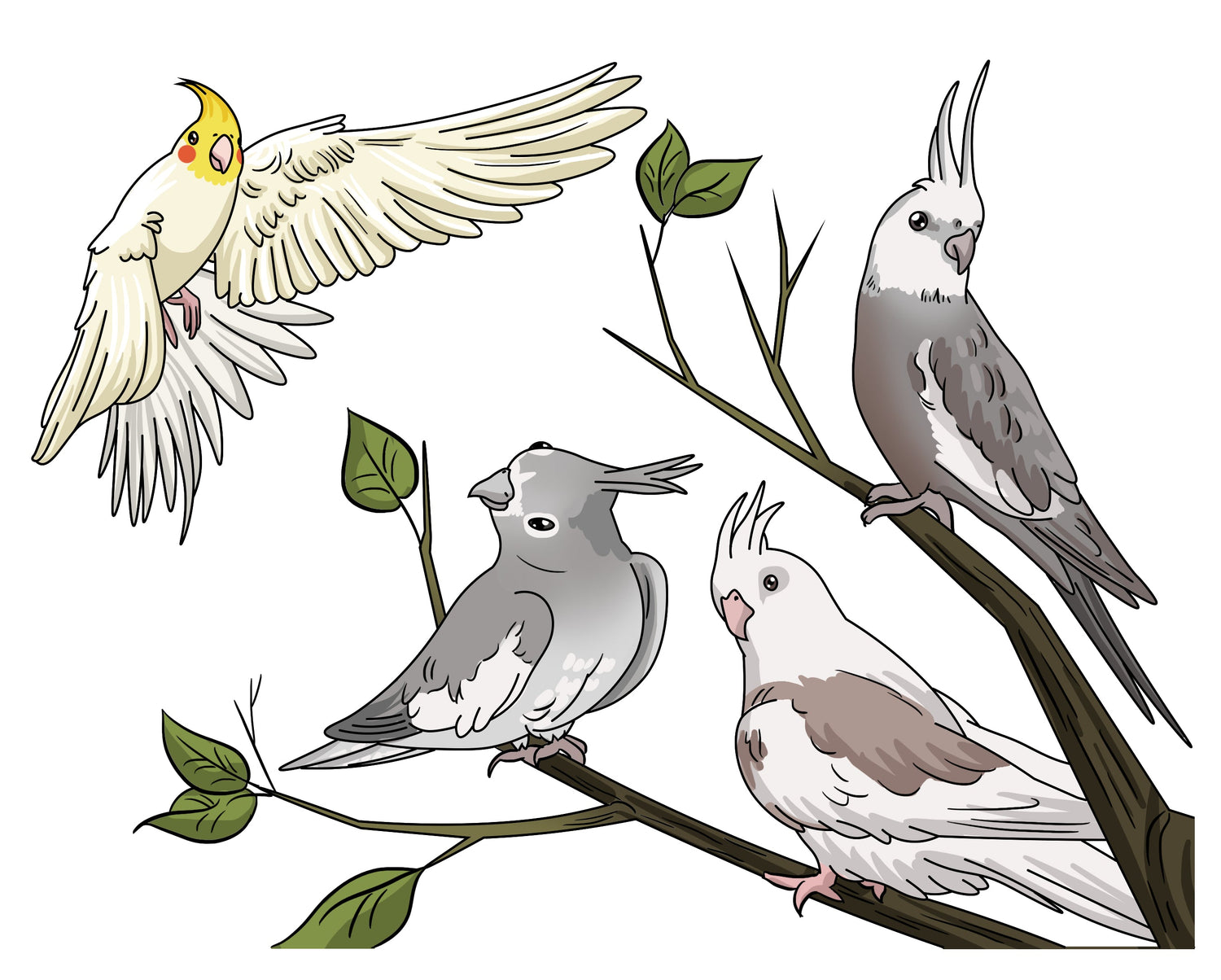 Poke Pet Birds